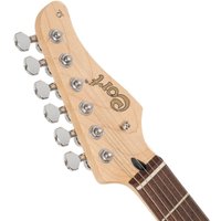 Электрогитара Cort G200 SKB