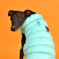 Жилетка для животных Puppia Ultra Light Vest B PAPD-JM1671-SB-M (бирюзовый)