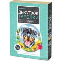 Набор для рисования Фантазер Декупаж тарелки. Мечта о небе 560965