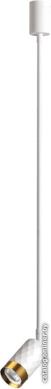 Подвесная люстра Odeon Light Ad Astrum 4350/1C