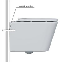 Унитаз подвесной Berges Wasserhaus Floe S Rimless + Visam Slim 525 EX-043244 (с сиденьем)