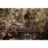 Велосипед Giant Anthem 29 2 S 2020