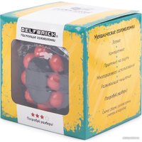 Головоломка Delfbrick Копилка DLK-09