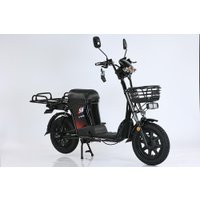 Электровелосипед Smart Balance Master Pro 50 Ah 2025 в Бресте