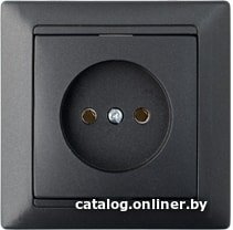 

Розетка Bylectrica Стиль РС16-305 (графит)