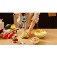 Погружной блендер Cecotec Katana 15 Jar B