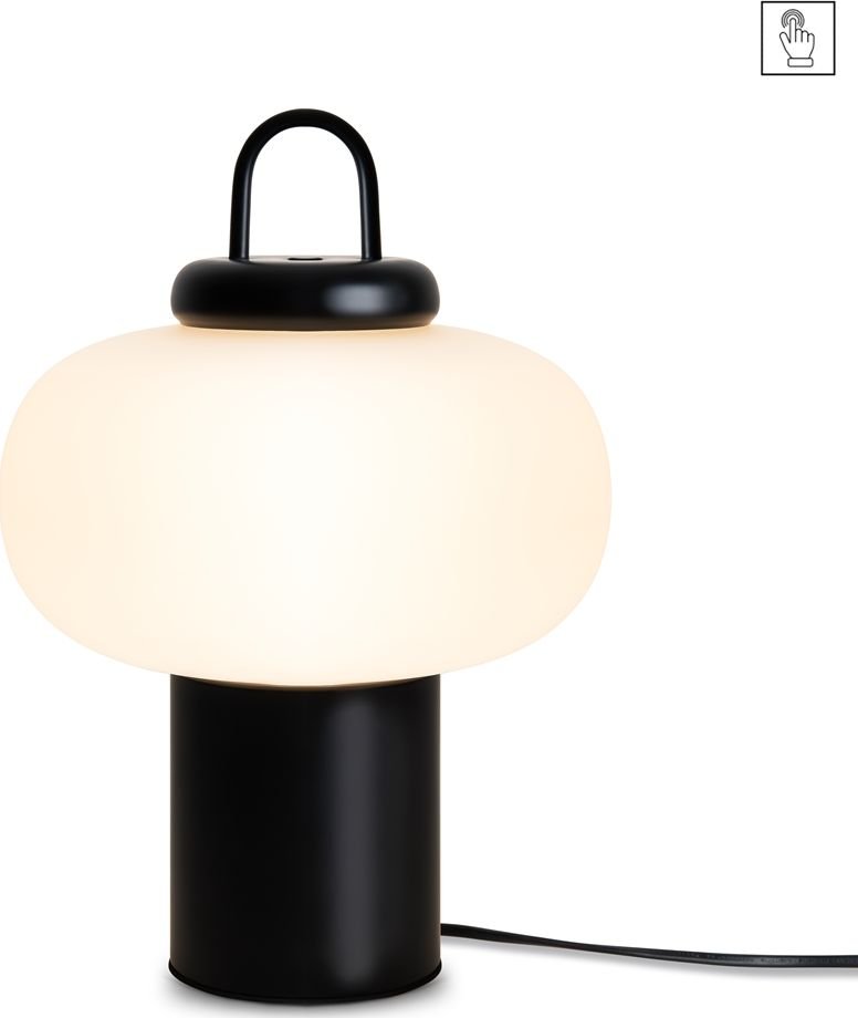 

Настольная лампа Freya Take FR6175TL-L10B