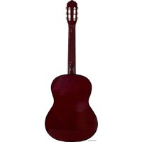 Акустическая гитара Belucci BC3905 OR