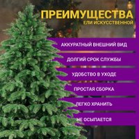Ель Бифорес Венера микс темная ВНМТ 220