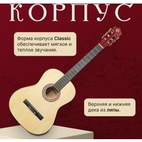 Акустическая гитара ROKSO FT-C-B39-N