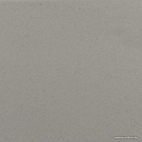 Кухонная мойка Aquasanita Tesa SQT151AW (argent 220)