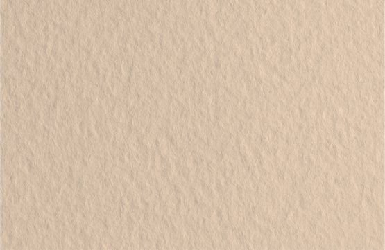 

Бумага для сухих техник Невская палитра Мастер-Класс 50х65 см 275452462 (10 л, слоновая кость)