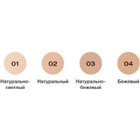 Декоративная косметика для лица Stellary Matte Icon Foundation тон 01 натурально-светлый