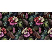 Фотообои Vimala Тропические колибри 270x500