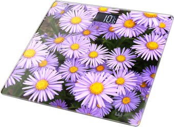 Напольные весы Home Element HE-SC904 (альпийская астра)