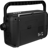 Радиоприемник Ritmix RPR-320