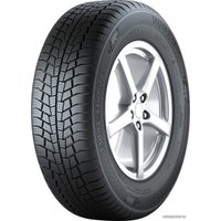 Зимние шины Gislaved Euro*Frost 6 205/55R16 94H