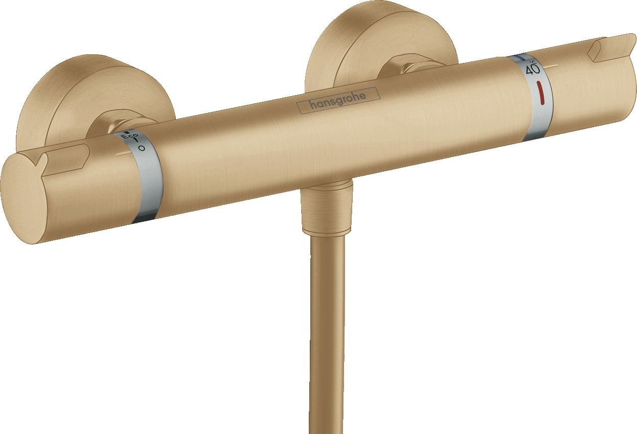 Смеситель Hansgrohe Ecostat 13116140
