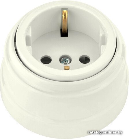 Розетка Bylectrica РА16-0202 (бежевый)