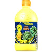 Удобрение Торговый дом Рост Агро Мечта ботаника бегония-алоказия-аспидистира 0.5 л