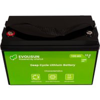 Аккумулятор для ИБП Evolisun EVOLISUN100Q10-LFP (12.8В/100Ач)