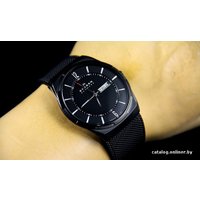 Наручные часы Skagen SKW6006