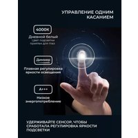 Зеркало с подсветкой  eMZe 43x88 LED.UV.43.88.AUR (золото с УФ-окантовкой и подсветкой)