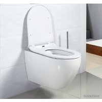 Унитаз подвесной BelBagno Sfera-R [BB513CH + BB2009SC]