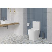 Унитаз напольный Lauter W09 S-TRAP 21900003 + гигиенический душ Rainix 21LT7713MW (вертикальный выпуск)