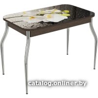 Кухонный стол ВВР Прямоугольный (орхидея белая/подстолье изогнутое)