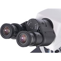 Микроскоп Levenhuk MED 40B бинокулярный 74004