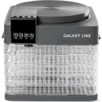 Сушилка для овощей и фруктов Galaxy Line GL2630 (серый)