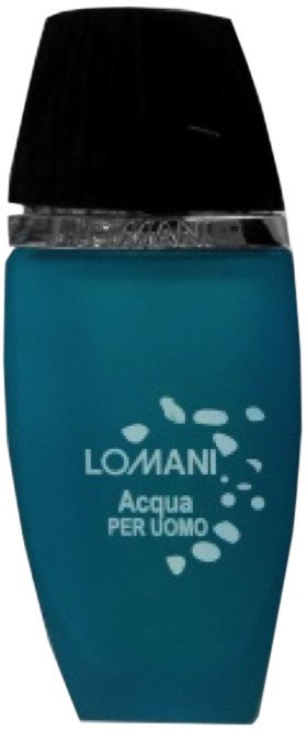 Туалетная вода Lomani Aqua Per Uomo for Men EdT (100 мл)