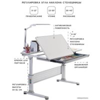 Парта Rifforma Comfort-120 (серый)
