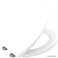 Сиденье для унитаза Bisk Smart 03924 (белый)