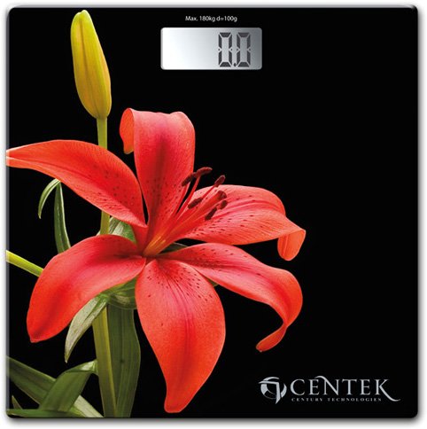 

Напольные весы CENTEK CT-2416