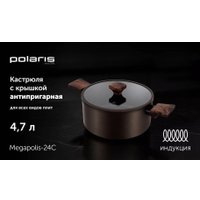 Кастрюля Polaris Megapolis-24C