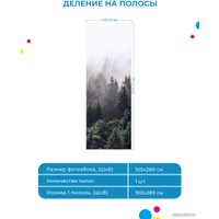 Фотообои ФабрикаФресок Туманный лес 191280 (100x280)