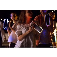 Беспроводная колонка Sony SRS-XB31 (черный)