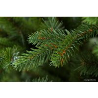 Ель GreenTerra Аляска (светлая) 2.2 м