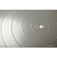 Гимнастический мяч Sundays Fitness IR97403-75 (серый)