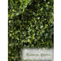 Искусственное растение Merry Bear Home Decor Самшит спиралевидный в горшке AQ10090