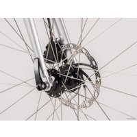 Велосипед Trek FX 2 Disc Women's Stagger L 2020 (серебристый)