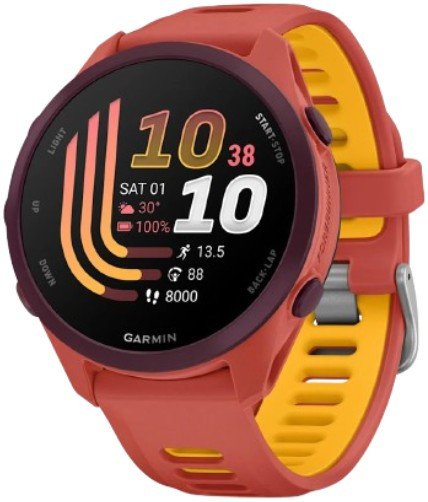Умные часы Garmin Forerunner 170 Music (красный)