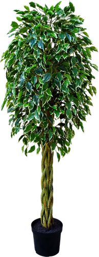 Искусственное растение Forgarden Ficus Woven Trunk BN11275