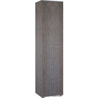 Шкаф распашной Кортекс-мебель Лара ШП1-45 (береза)