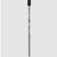 Лыжные палки Elan Speedrod 2024-2025 CD531524-110 (р.110, серый)