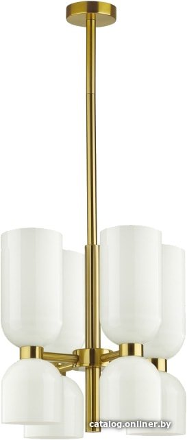 Подвесная люстра Odeon Light Orinoco 4798/8