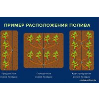 Система полива GreenLine 64 на 72 капельницы