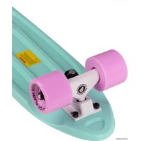 Круизер Plank Miniboard P20-MINIBOARD-TF